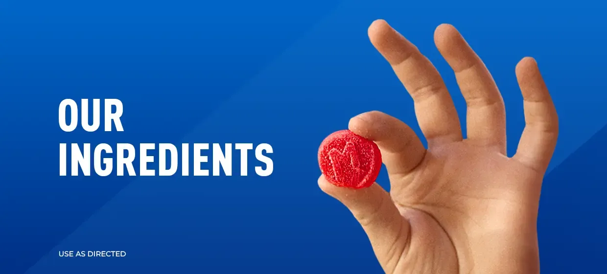 Our Ingredients