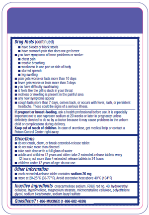 DFL_Bottom Ply (3).png