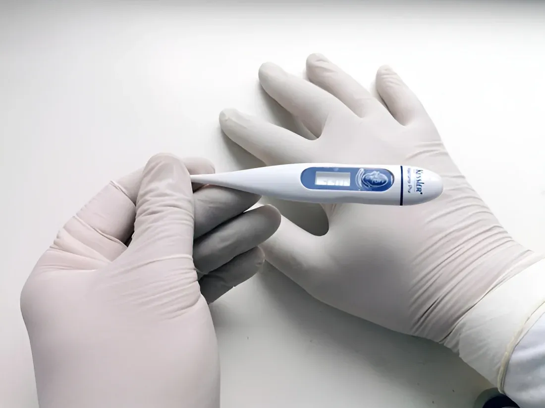 A person holding electronic thermometer